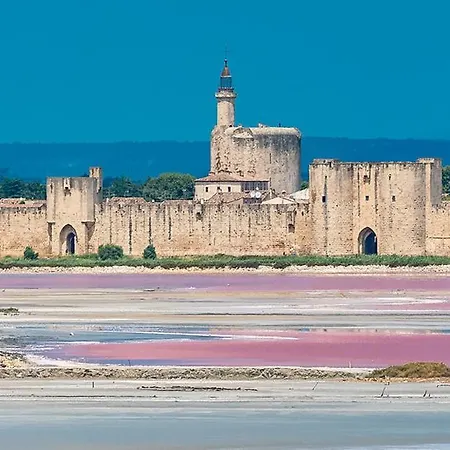 En Camargue Proche De La Climatise Aigues-Mortes