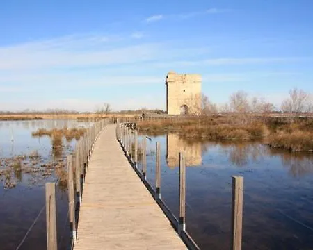 En Camargue Proche De La Climatise Lejlighed *