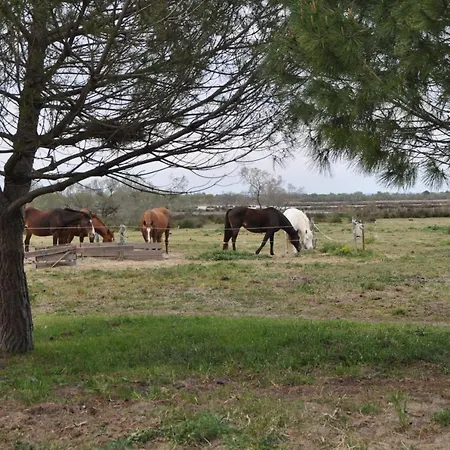 דירה En Camargue Proche De La Climatise איגוס-מורטס